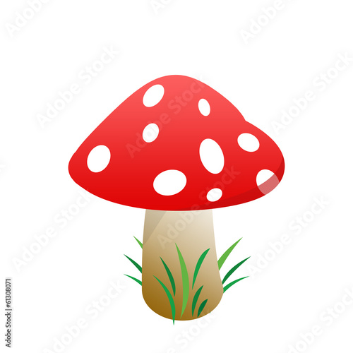 Mushroom