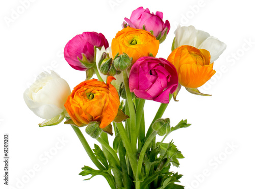 Slika na platnu bouquet of ranunculus flowers