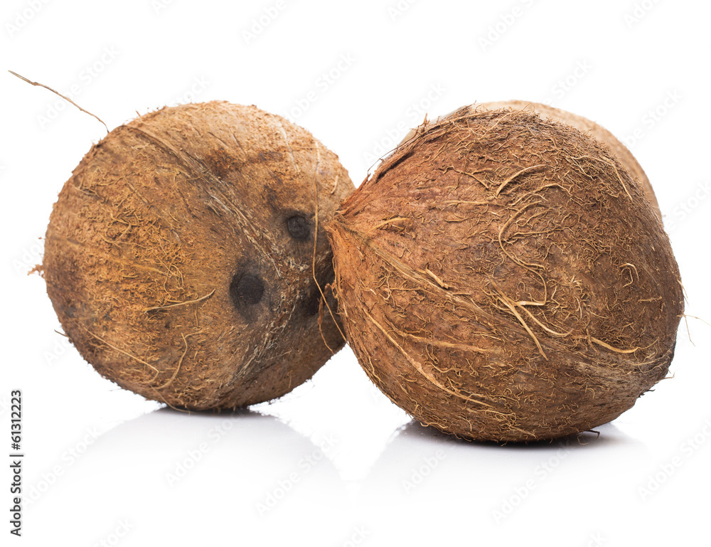 Coconuts on white background Coconuts on white background