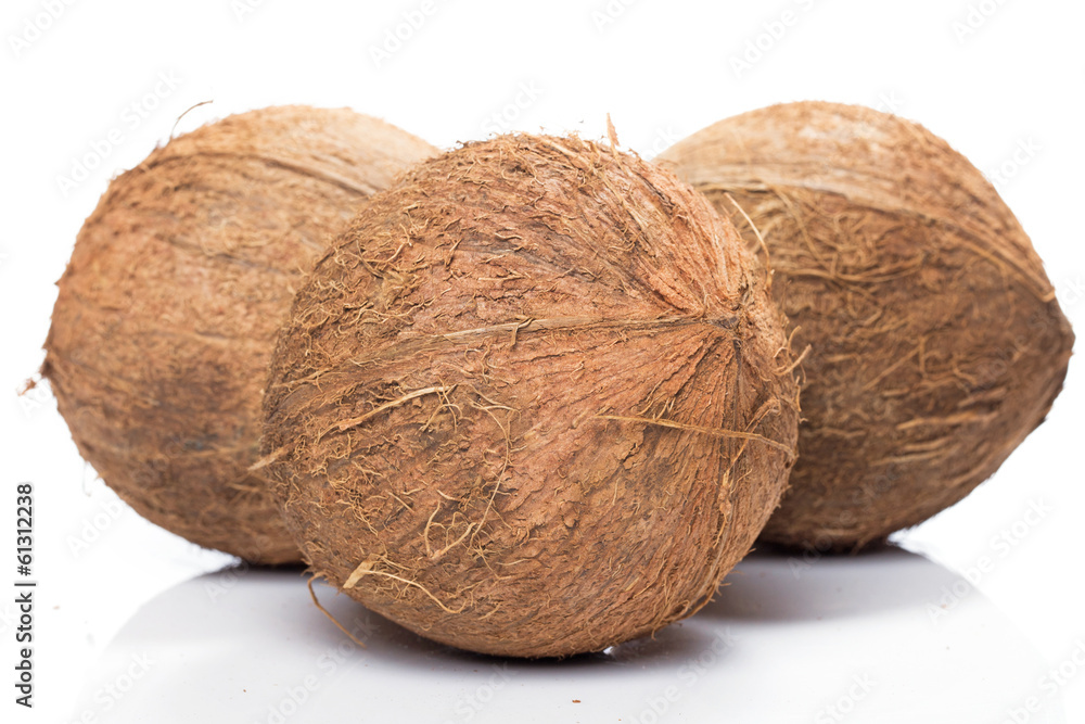 Coconuts on white background Coconuts on white background
