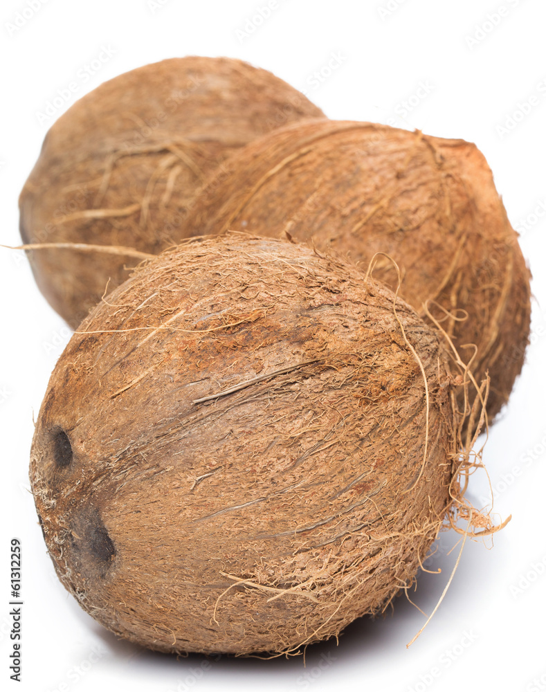 Coconuts on white background