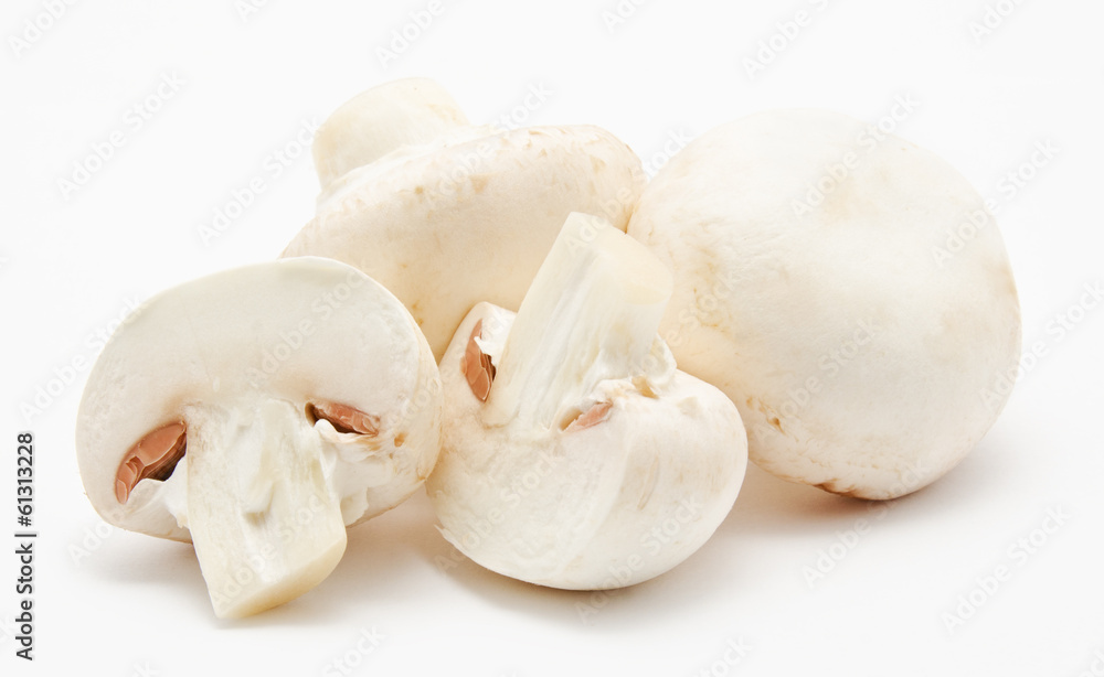 Champignon mushroom white agaricus Champignon mushroom white agaricus