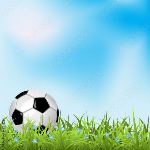 Soccer ball on green grass. Football background