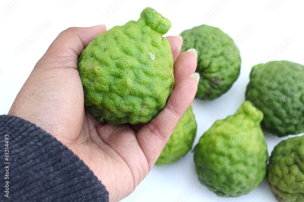 Obraz premium Fresh kaffir