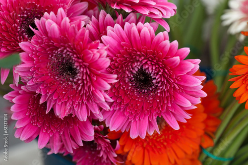 Fototapeta Naklejka Na Ścianę i Meble -  Natural background from autumn flowers