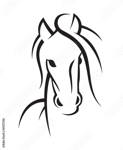 image of an horse