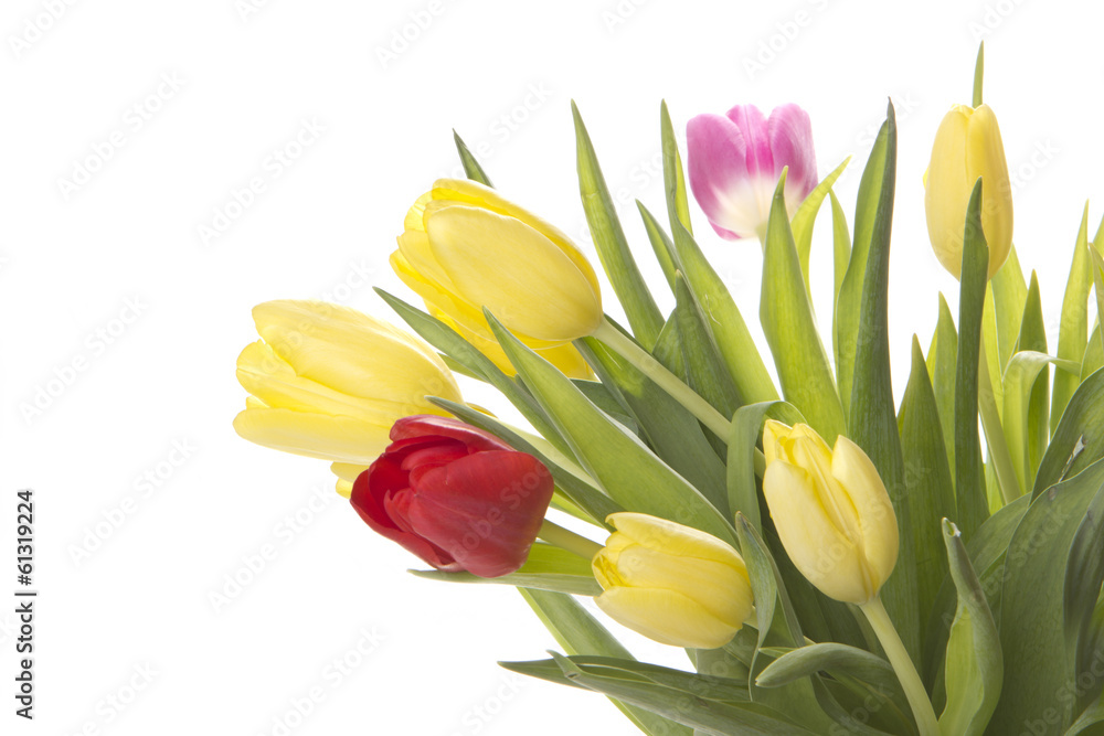 Tulpenstrauß Tulpenstrauß