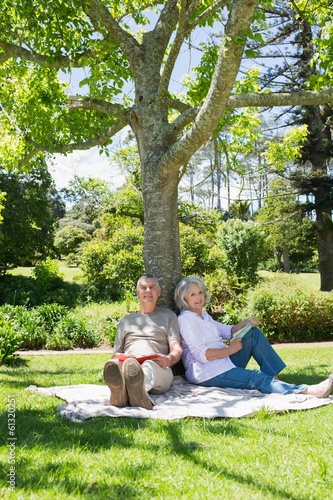 Mature couple sitting against a tree at park