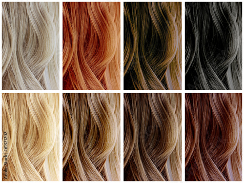 Hair Color Samples photo