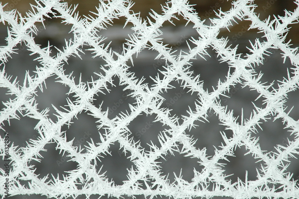 Frosted fence net closeup Frosted fence net closeup