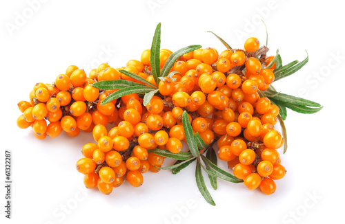 Sea buckthorn berries