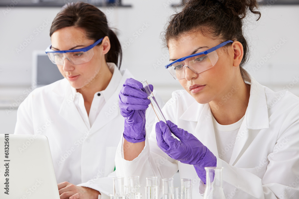 Two Female Technicians Working In Laboratory Two Female Technicians Working In Laboratory