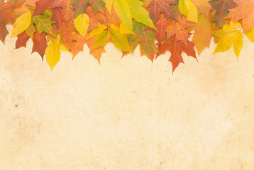 Textured Autumn leaf background with room for copy space.