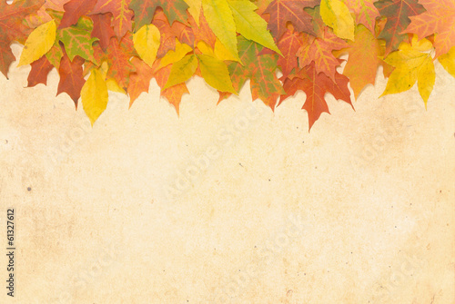 Textured Autumn leaf background with room for copy space.