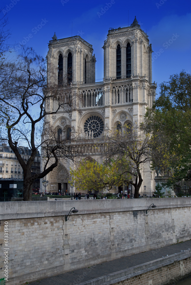 Cathedral in Paris