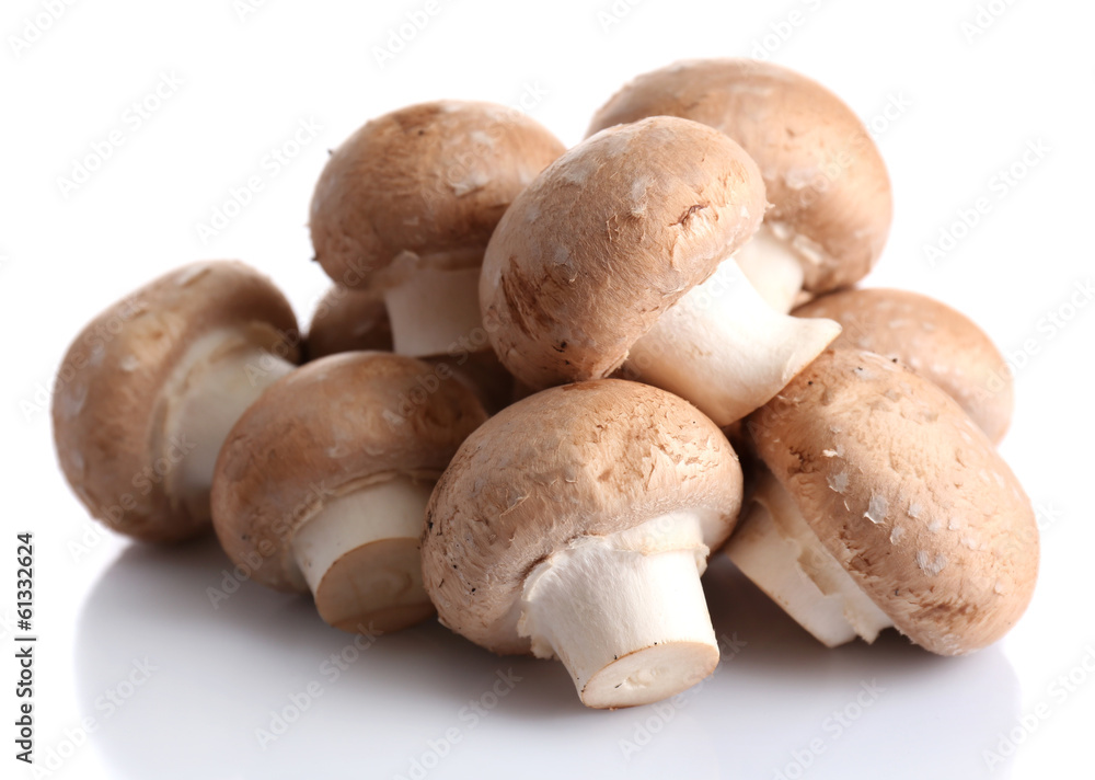 Fresh mushrooms isolated on white Fresh mushrooms isolated on white