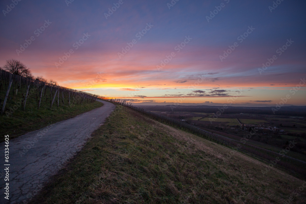 road in winter sunset in vineyard