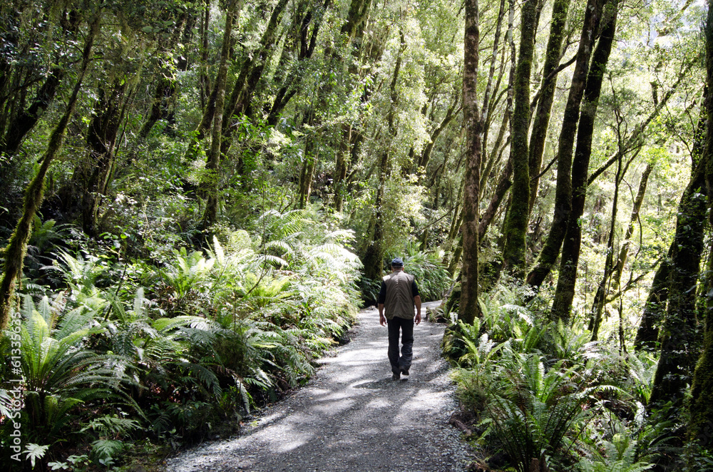 Obraz premium Man hiking