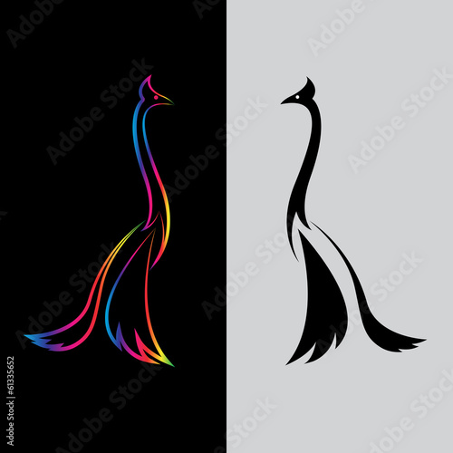 Vector image of peacock design