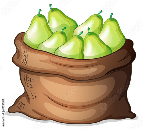 A sack of green avocado