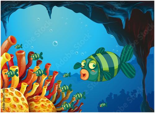 A school of stripe-colored fishes under the sea