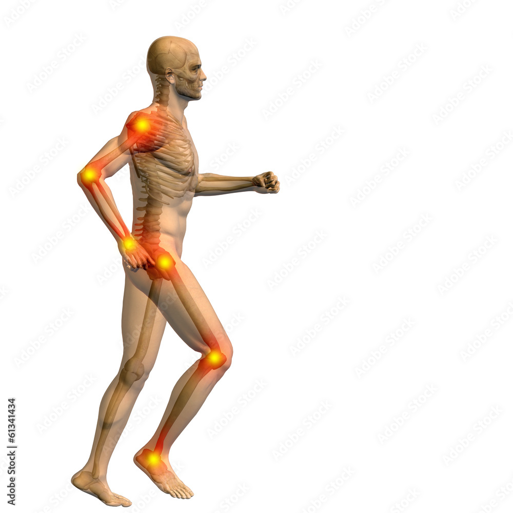 3D human man anatomy with articular pain