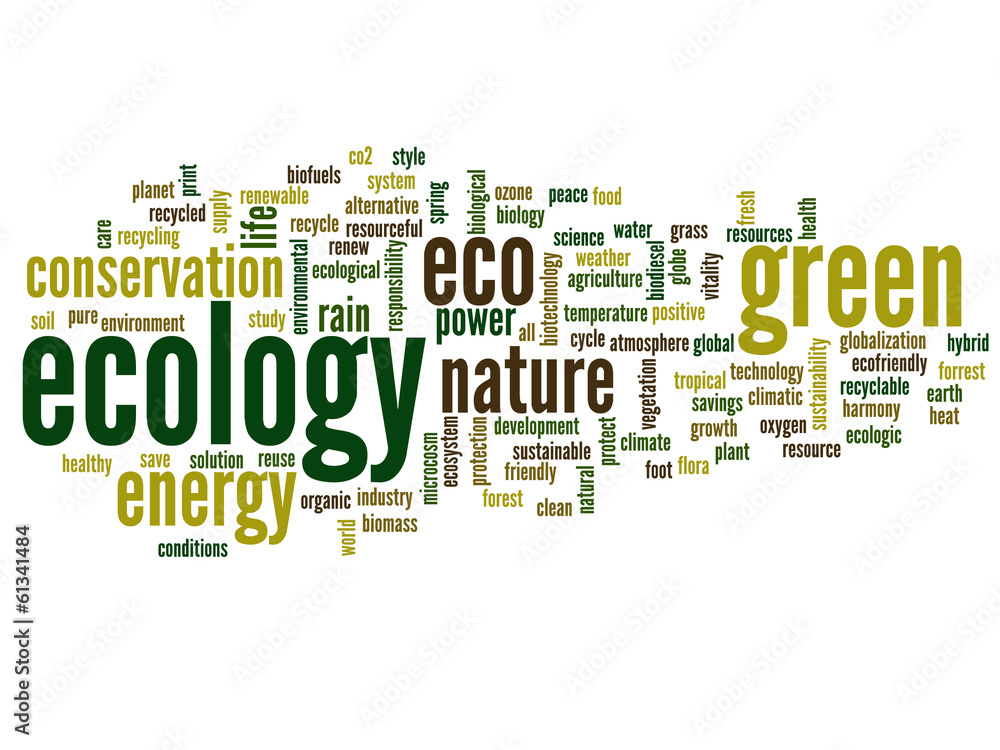 Conceptual ecology word cloud Conceptual ecology word cloud