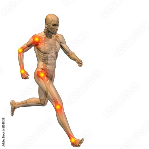 3D human man anatomy with articular pain