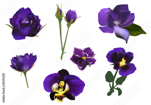 set of seven dark blue flowers isolated on white