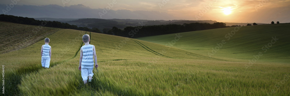 Concept panorama landscape young boys walking through field at s Concept panorama landscape young boys walking through field at s