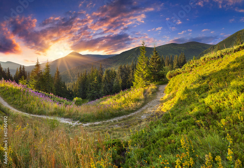 Beautiful summer landscape in the mountains with pink flowers.