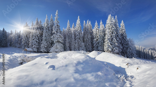 Winter fairy tale after heavy snowfall in the mountain forest © Andrew Mayovskyy