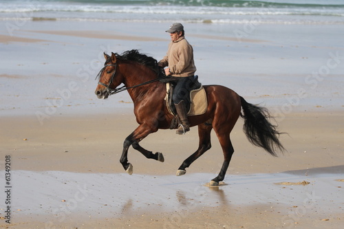 Spanischer Reiter mit braunem Hengst am Strand