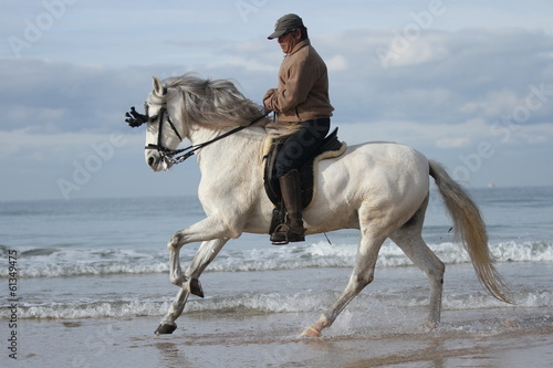 Spanischer Reiter mit Schimmel © Petra Eckerl