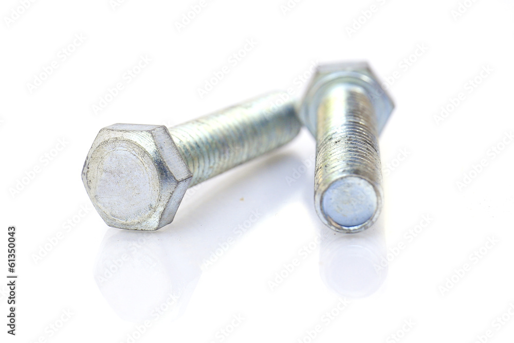 screw isolated on the white backgrounds screw isolated on the white backgrounds