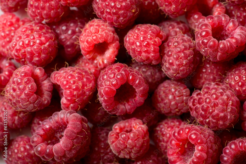 Raspberry fruit background Raspberry fruit background