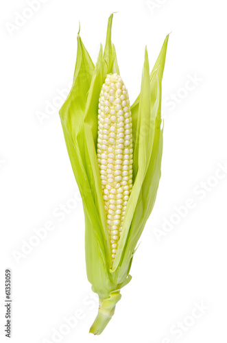 Corncob