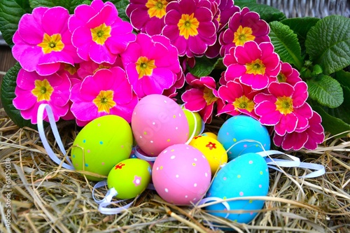 Osternest mit Primeln