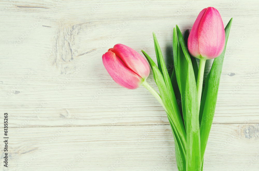 two pink tulips on white wooden surface two pink tulips on white wooden surface