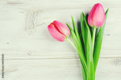 Fototapeta Naklejka Na Ścianę i Meble -  two pink tulips on white wooden surface