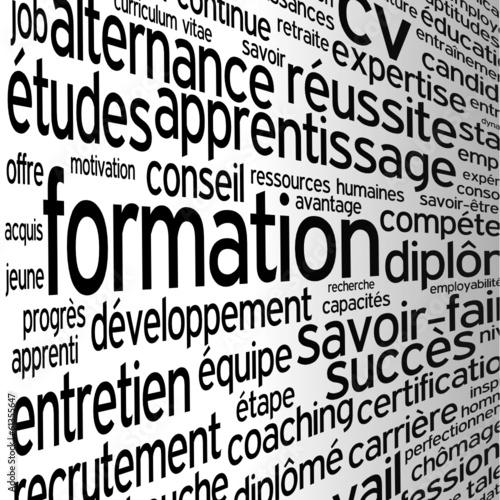 Nuage de Tags "FORMATION" (cv études diplômes chômage emploi)
