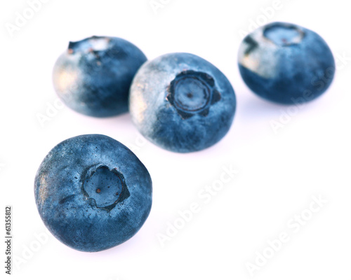 Blueberries isolated on white.