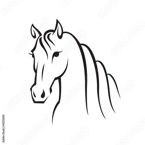 image of an horse