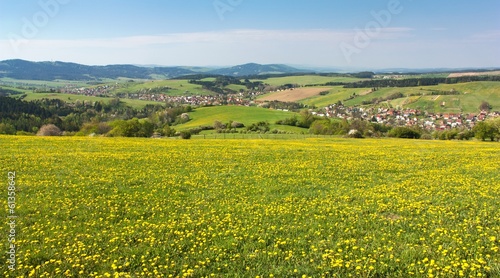 panoramic view of Horni Lidec village