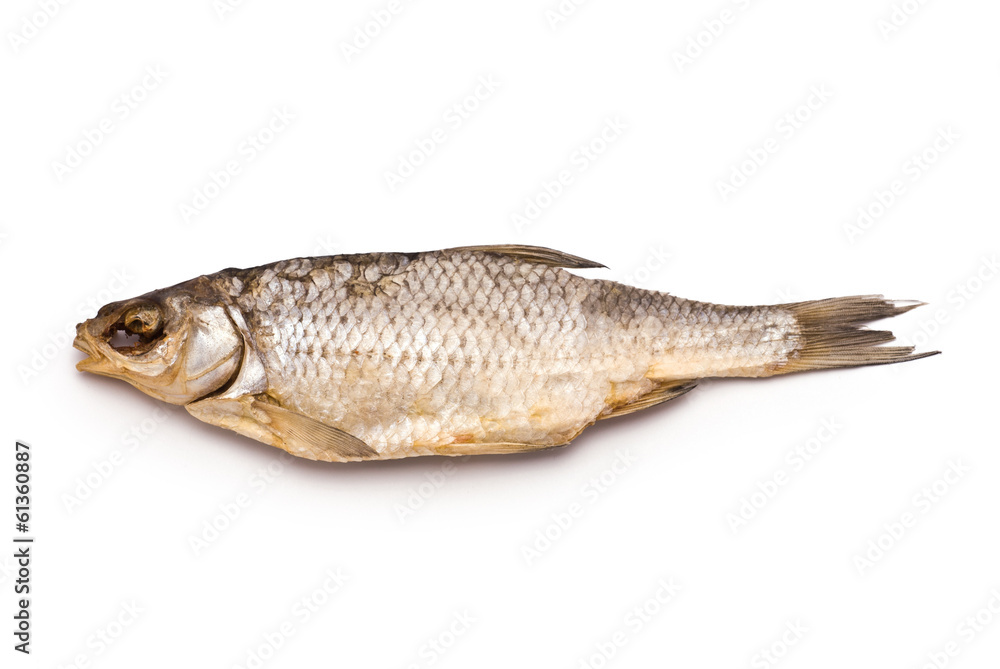 Dried Fish isolated on white