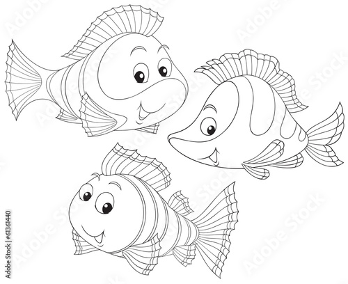 Coral fishes
