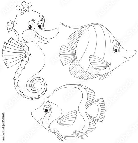 Coral fishes and seahorse