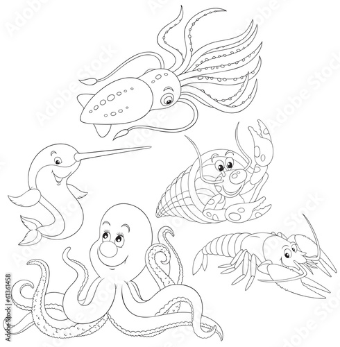 Octopus, crawfishes, narwhal and squid