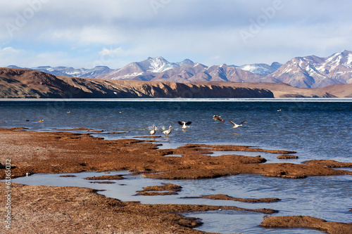 Lake Manasarovar in Western Tibet