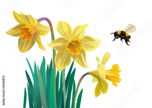 Wallpaper Mural Daffodils and bumblebee